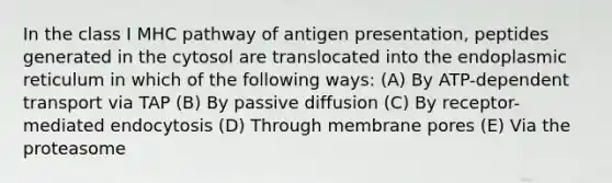 In the class I MHC pathway of antigen presentation, peptides generated in the cytosol are translocated into the endoplasmic reticulum in which of the following ways: (A) By ATP-dependent transport via TAP (B) By passive diffusion (C) By receptor-mediated endocytosis (D) Through membrane pores (E) Via the proteasome