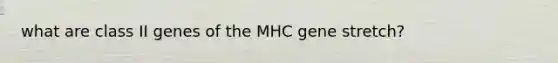 what are class II genes of the MHC gene stretch?