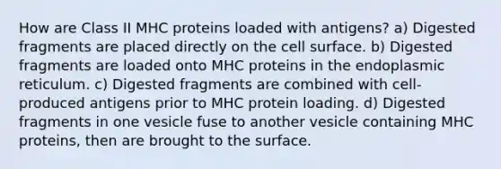 How are Class II MHC proteins loaded with antigens? a) Digested fragments are placed directly on the cell surface. b) Digested fragments are loaded onto MHC proteins in the endoplasmic reticulum. c) Digested fragments are combined with cell-produced antigens prior to MHC protein loading. d) Digested fragments in one vesicle fuse to another vesicle containing MHC proteins, then are brought to the surface.