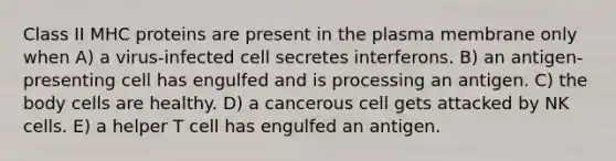 Class II MHC proteins are present in the plasma membrane only when A) a virus-infected cell secretes interferons. B) an antigen-presenting cell has engulfed and is processing an antigen. C) the body cells are healthy. D) a cancerous cell gets attacked by NK cells. E) a helper T cell has engulfed an antigen.