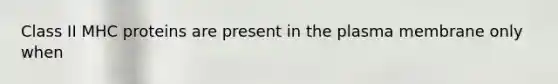 Class II MHC proteins are present in the plasma membrane only when