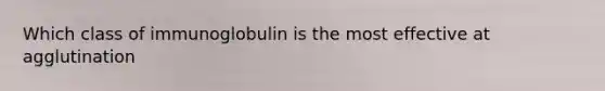 Which class of immunoglobulin is the most effective at agglutination