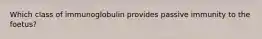 Which class of immunoglobulin provides passive immunity to the foetus?