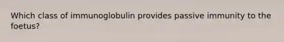 Which class of immunoglobulin provides passive immunity to the foetus?