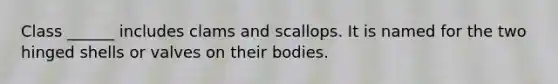 Class ______ includes clams and scallops. It is named for the two hinged shells or valves on their bodies.