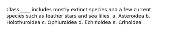 Class ____ includes mostly extinct species and a few current species such as feather stars and sea lilies. a. Asteroidea b. Holothuroidea c. Ophiuroidea d. Echinoidea e. Crinoidea