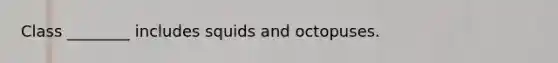 Class ________ includes squids and octopuses.