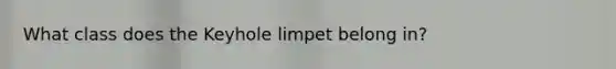 What class does the Keyhole limpet belong in?