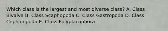 Which class is the largest and most diverse class? A. Class Bivalva B. Class Scaphopoda C. Class Gastropoda D. Class Cephalopoda E. Class Polyplacophora