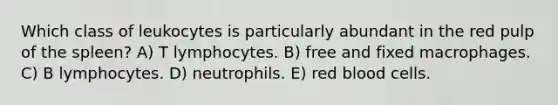 Which class of leukocytes is particularly abundant in the red pulp of the spleen? A) T lymphocytes. B) free and fixed macrophages. C) B lymphocytes. D) neutrophils. E) red blood cells.