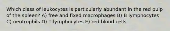 Which class of leukocytes is particularly abundant in the red pulp of the spleen? A) free and fixed macrophages B) B lymphocytes C) neutrophils D) T lymphocytes E) red blood cells