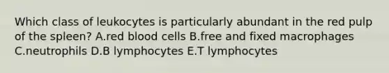 Which class of leukocytes is particularly abundant in the red pulp of the spleen? A.red blood cells B.free and fixed macrophages C.neutrophils D.B lymphocytes E.T lymphocytes