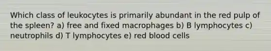 Which class of leukocytes is primarily abundant in the red pulp of the spleen? a) free and fixed macrophages b) B lymphocytes c) neutrophils d) T lymphocytes e) red blood cells