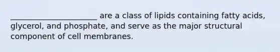 ______________________ are a class of lipids containing fatty acids, glycerol, and phosphate, and serve as the major structural component of cell membranes.