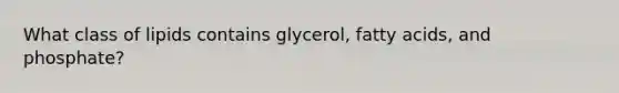 What class of lipids contains glycerol, fatty acids, and phosphate?