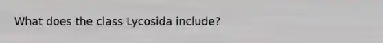 What does the class Lycosida include?