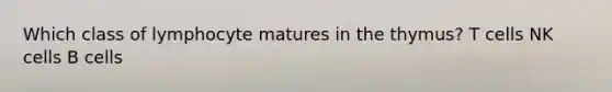 Which class of lymphocyte matures in the thymus? T cells NK cells B cells