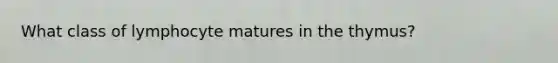 What class of lymphocyte matures in the thymus?