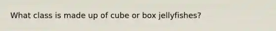 What class is made up of cube or box jellyfishes?