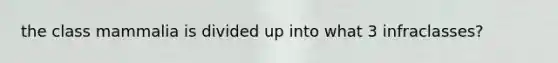 the class mammalia is divided up into what 3 infraclasses?