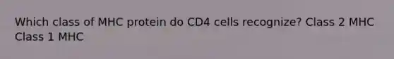 Which class of MHC protein do CD4 cells recognize? Class 2 MHC Class 1 MHC