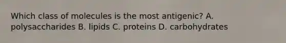 Which class of molecules is the most antigenic? A. polysaccharides B. lipids C. proteins D. carbohydrates