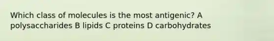 Which class of molecules is the most antigenic? A polysaccharides B lipids C proteins D carbohydrates