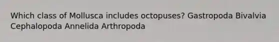 Which class of Mollusca includes octopuses? Gastropoda Bivalvia Cephalopoda Annelida Arthropoda