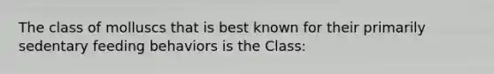 The class of molluscs that is best known for their primarily sedentary feeding behaviors is the Class: