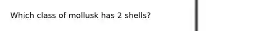 Which class of mollusk has 2 shells?