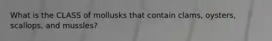 What is the CLASS of mollusks that contain clams, oysters, scallops, and mussles?