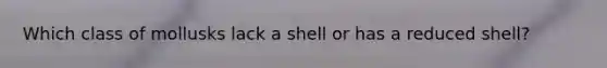 Which class of mollusks lack a shell or has a reduced shell?