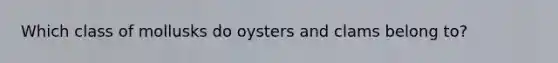 Which class of mollusks do oysters and clams belong to?