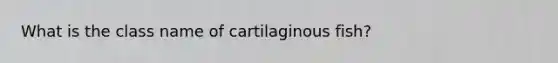 What is the class name of cartilaginous fish?