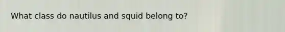 What class do nautilus and squid belong to?