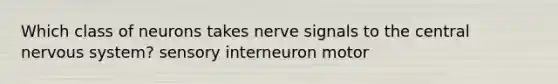 Which class of neurons takes nerve signals to the central nervous system? sensory interneuron motor