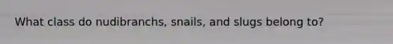 What class do nudibranchs, snails, and slugs belong to?