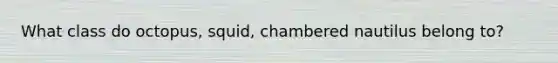 What class do octopus, squid, chambered nautilus belong to?
