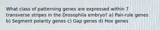 What class of patterning genes are expressed within 7 transverse stripes in the Drosophila embryo? a) Pair-rule genes b) Segment polarity genes c) Gap genes d) Hox genes