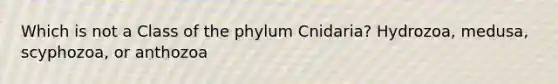 Which is not a Class of the phylum Cnidaria? Hydrozoa, medusa, scyphozoa, or anthozoa