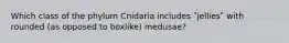 Which class of the phylum Cnidaria includes ʺjelliesʺ with rounded (as opposed to boxlike) medusae?