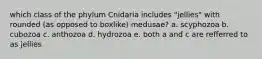 which class of the phylum Cnidaria includes "jellies" with rounded (as opposed to boxlike) medusae? a. scyphozoa b. cubozoa c. anthozoa d. hydrozoa e. both a and c are refferred to as jellies