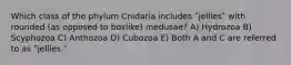 Which class of the phylum Cnidaria includes ʺjelliesʺ with rounded (as opposed to boxlike) medusae? A) Hydrozoa B) Scyphozoa C) Anthozoa D) Cubozoa E) Both A and C are referred to as ʺjellies.ʺ