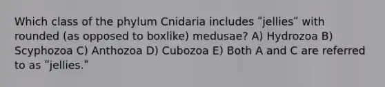 Which class of the phylum Cnidaria includes ʺjelliesʺ with rounded (as opposed to boxlike) medusae? A) Hydrozoa B) Scyphozoa C) Anthozoa D) Cubozoa E) Both A and C are referred to as ʺjellies.ʺ