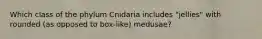 Which class of the phylum Cnidaria includes "jellies" with rounded (as opposed to box-like) medusae?