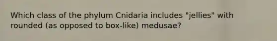 Which class of the phylum Cnidaria includes "jellies" with rounded (as opposed to box-like) medusae?