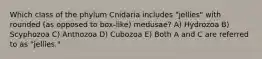 Which class of the phylum Cnidaria includes "jellies" with rounded (as opposed to box-like) medusae? A) Hydrozoa B) Scyphozoa C) Anthozoa D) Cubozoa E) Both A and C are referred to as "jellies."