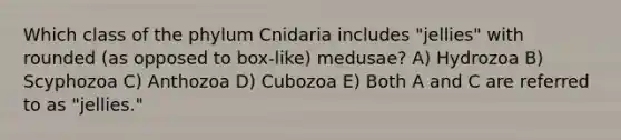 Which class of the phylum Cnidaria includes "jellies" with rounded (as opposed to box-like) medusae? A) Hydrozoa B) Scyphozoa C) Anthozoa D) Cubozoa E) Both A and C are referred to as "jellies."