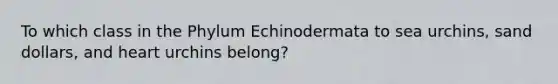 To which class in the Phylum Echinodermata to sea urchins, sand dollars, and heart urchins belong?