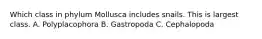 Which class in phylum Mollusca includes snails. This is largest class. A. Polyplacophora B. Gastropoda C. Cephalopoda